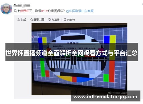 世界杯直播频道全面解析全网观看方式与平台汇总