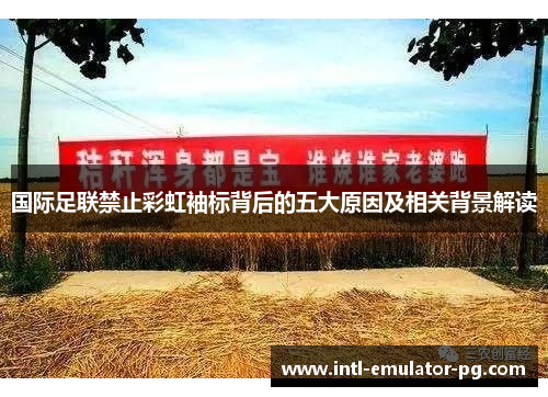 国际足联禁止彩虹袖标背后的五大原因及相关背景解读